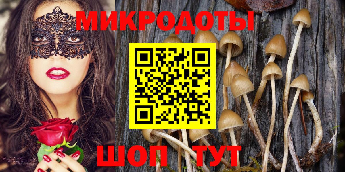 Псилоцибиновые грибы Magic Shrooms Партизанск